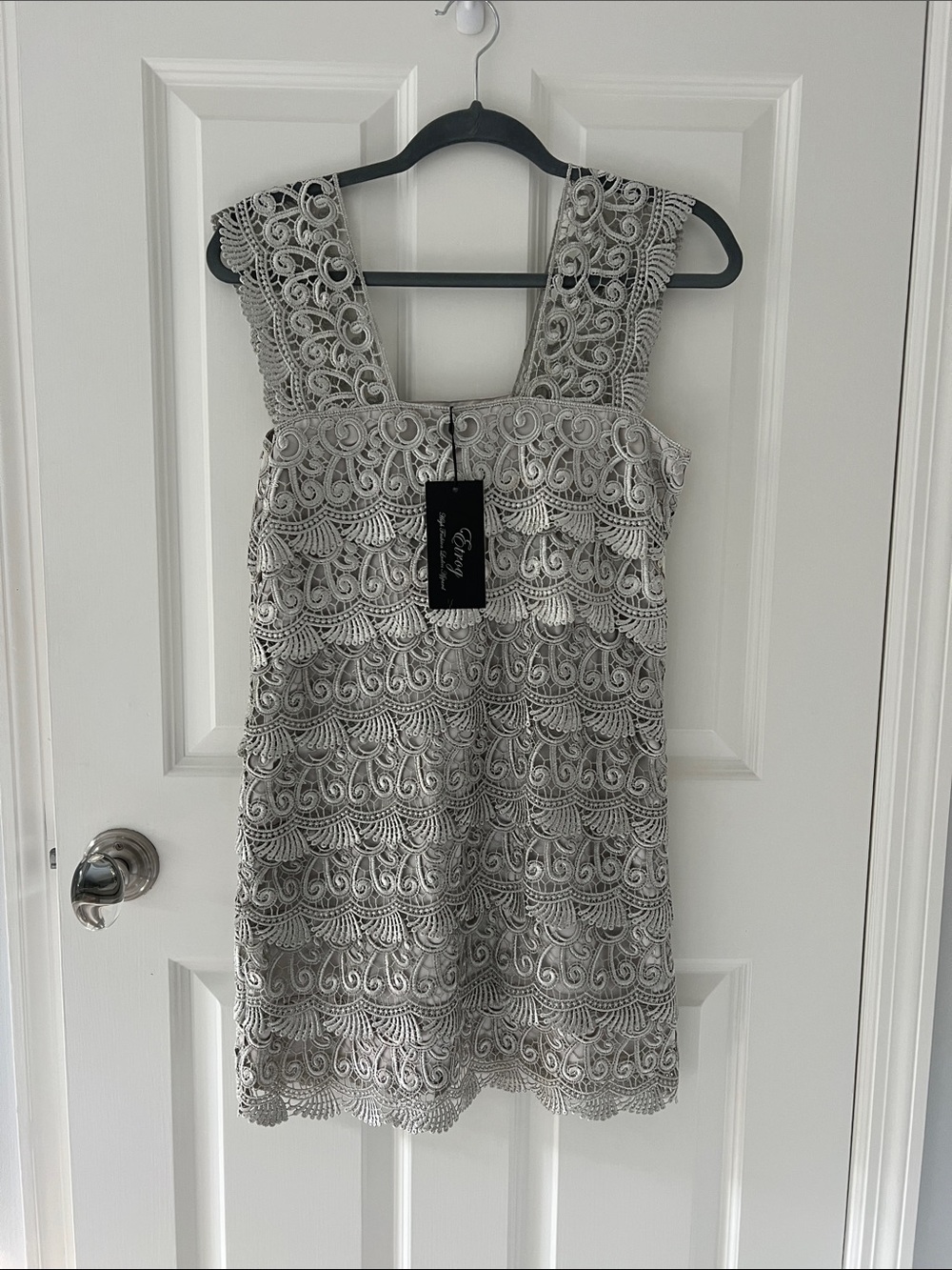 NWT Etrog Elegant Silver Lace Sleeveless Dress